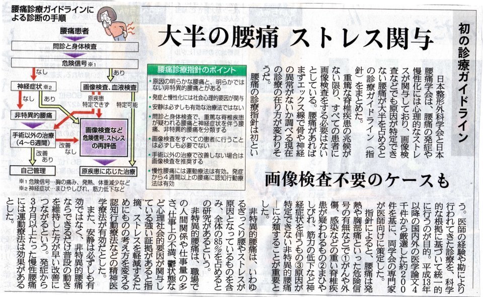 腰痛ガイドライン　20130101産經新聞.jpg