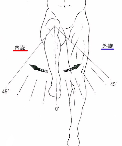 股関節内外旋.jpg