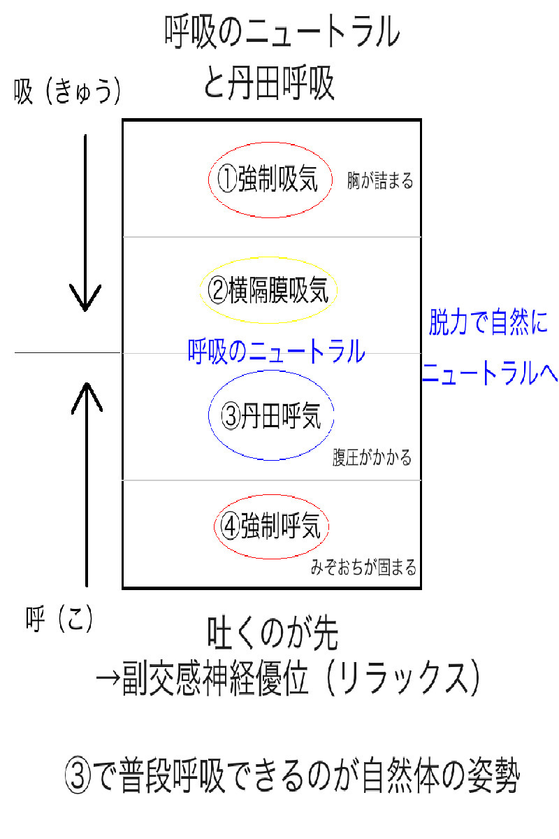 呼吸のニュートラルと丹田呼吸.jpg