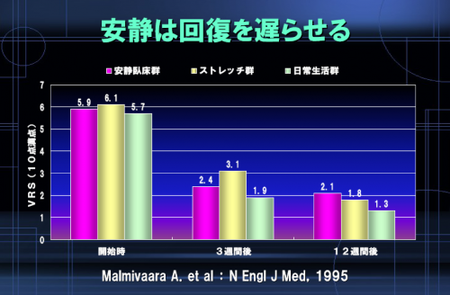 安静と腰痛.png