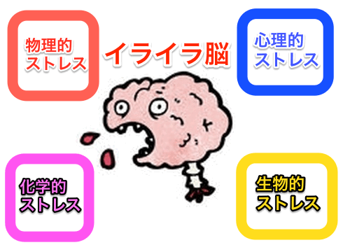 カイロプラクティック アドバンス Amazon | 【国内正規品｜アメリカ製】JTech Medical社 CAT