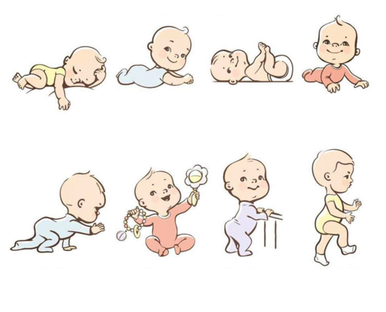 運動発達のプロセス